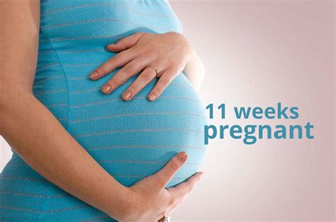 11 Weeks Pregnant - Your Baby & You at 11 Weeks - What to Expect