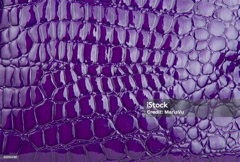 Purple Alligator Crocodile Skin Leather Stock Photo - Download Image ...