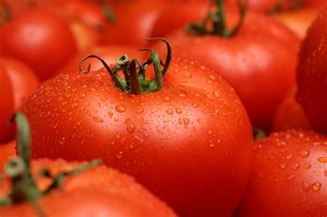 Tomato Allergy | Symptoms and Treatment