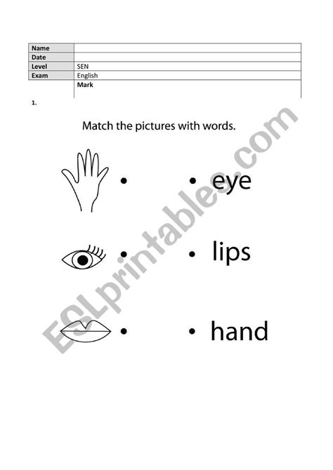 SEN (Special Educational Needs) test - ESL worksheet by mmazzan2