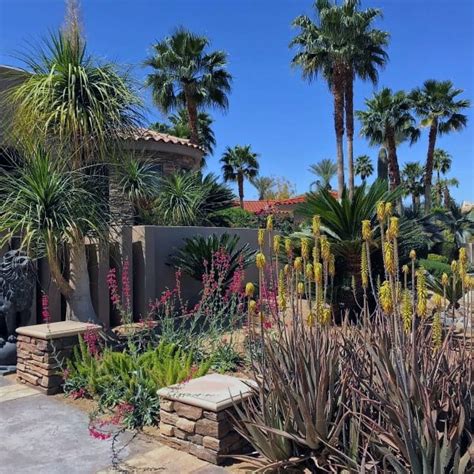 Desert Landscape Front Yard | Landscaping