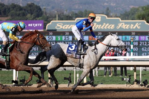 Horse racing-White Abarrio wins Breeders' Cup Classic to put trainer ...