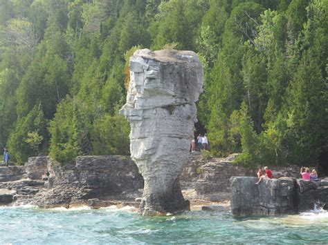 Tobermory Flowerpot Island Ferry Schedule | Best Flower Site