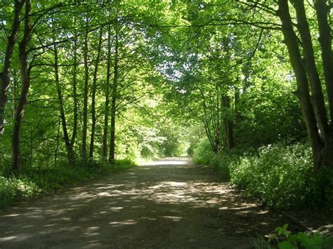 Driveway to Hunters Greave Scout... © Betty Longbottom :: Geograph Britain and Ireland