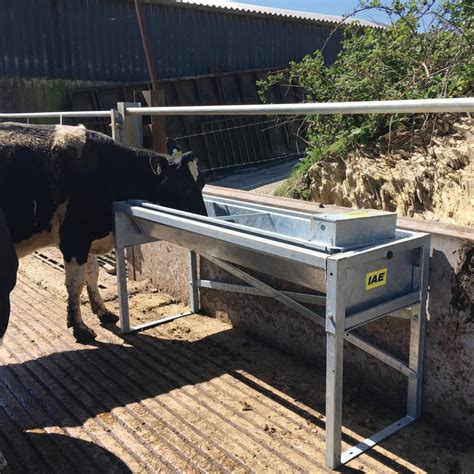 Free Standing Tipping Water Trough | Water Troughs - IAE