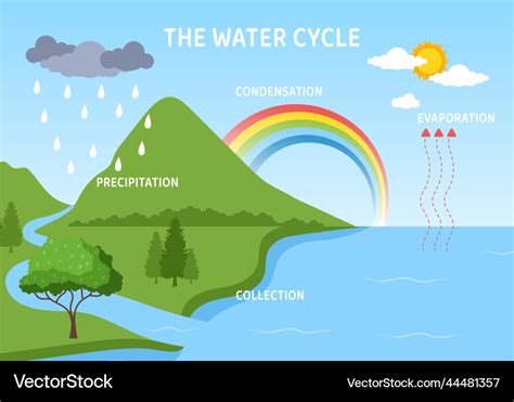 Water cycle of evaporation condensation Royalty Free Vector