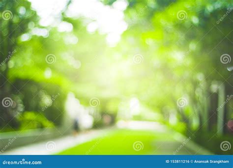 Abstract Green Nature Blur Background and Sunlight Stock Photo - Image of design, texture: 153811216