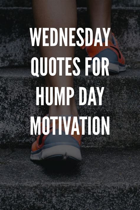 80 Wednesday Quotes For Hump Day Motivation