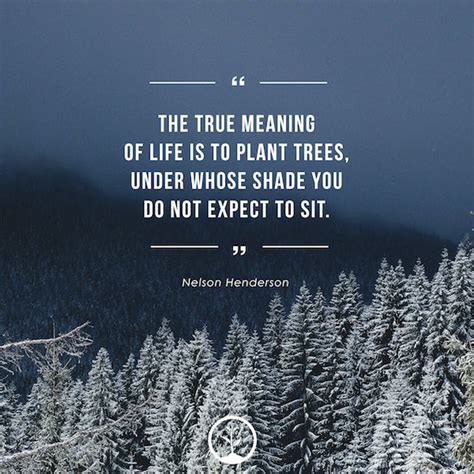 Inspirational Quotes About Trees - One Tree Planted