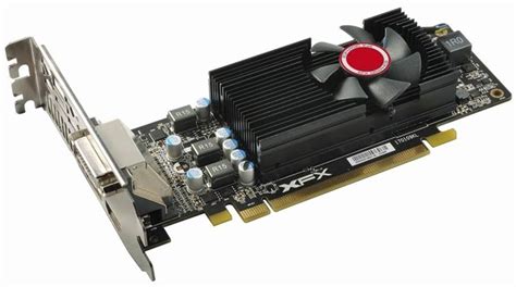 Best Low Profile Graphics Card in 2024 [Half-Height Graphics Cards]