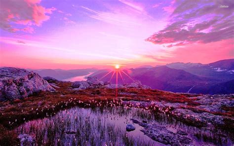 Purple Desert Sunrise Wallpapers - Top Free Purple Desert Sunrise Backgrounds - WallpaperAccess