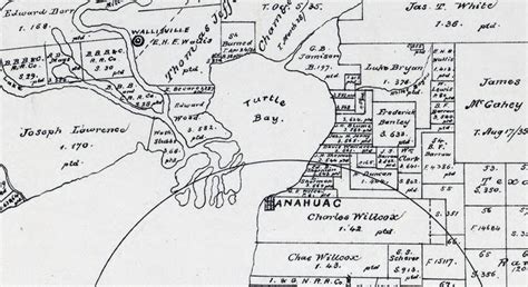 1879 Map of Chambers County Texas - Etsy