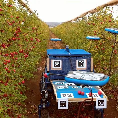 These drones use artificial intelligence to harvest fruit for farmers ...