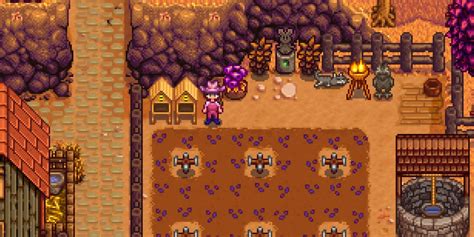 Stardew Valley Secrets Guide