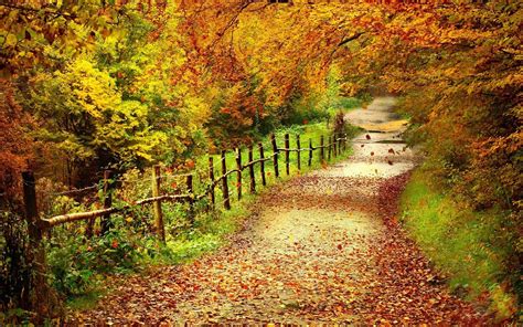 Country Roads Wallpaper (66+ images)