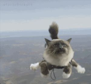 skydiving gifs | WiffleGif