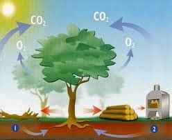 Dióxido de carbono como agente directo del efecto invernadero