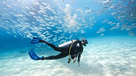 10 top Scuba Diving Spots in South East Asia | PickYourTrail