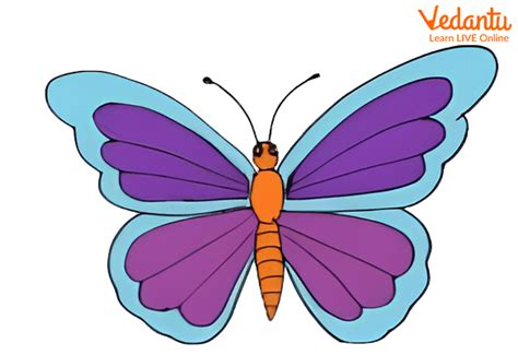 How To Draw Butterflies For Kids Step by Step?