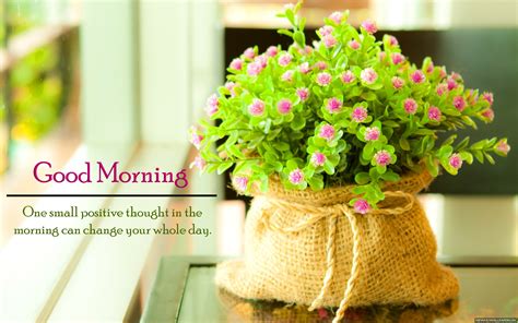 Download Best good morning quote flowers hd wallpaper - Good morning wallpapers Hd wallpaper or ...