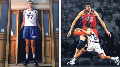 Gheorghe Muresan | ZOMG! Candy