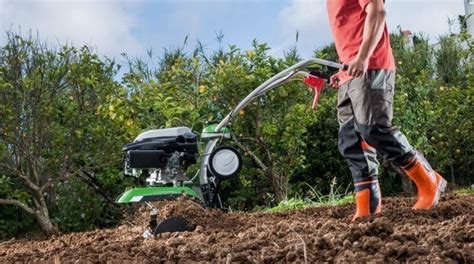 How to Prepare the Ground For Turf or Grass Seed in 9 Simple Steps