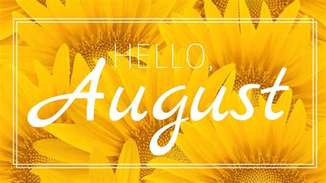 Download Yellow Sunflower Hello August Wallpaper | Wallpapers.com