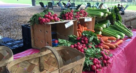 A Guide to Orlando Farmers Markets