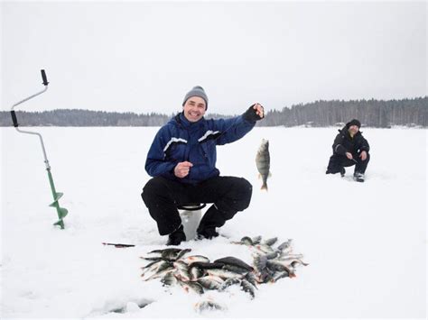 Perch Ice Fishing in Finland - Arctic Guesthouse & Igloos