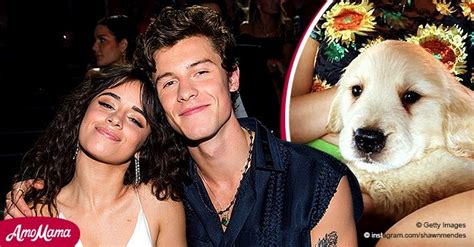 Shawn Mendes & Camila Cabello Become Parents as They Introduce Their Adorable Puppy Tarzan