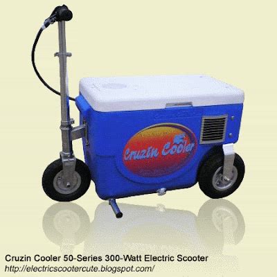 Cruzin Cooler Electric Scooter - Electric Bike & Electric Scooter