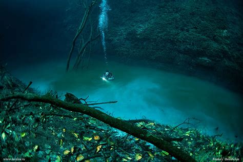 Hidden Underwater River Flowing Under the Ocean in Mexico | Bored Panda