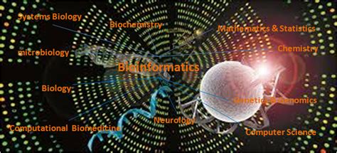 Bioinformatics