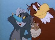 Flirty Birdy | Tom and Jerry Wiki | FANDOM powered by Wikia