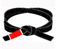 The BJJ Black Belt - John Will's Blog: 6th Degree BJJ Black Belt, MMA coach, Author and Licorice ...