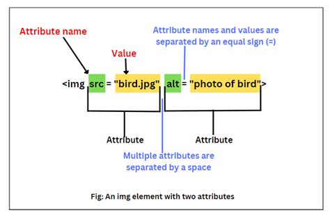 HTML Attributes | Types, Example - Scientech Easy