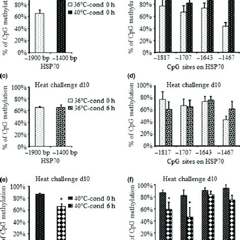 A proposed model for long-term regulation of the Hsp 70 gene expression... | Download Scientific ...