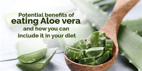 Potential benefits of eating Aloe vera and how you can include it in your diet - Dr. Brahmanand ...