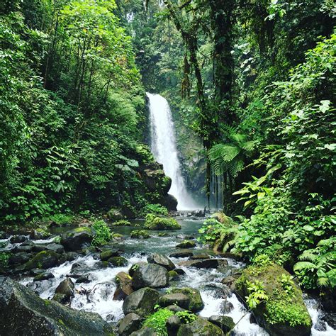 La Paz Waterfall Gardens in Costa Rica. [OC] [3024x3024] : r/EarthPorn