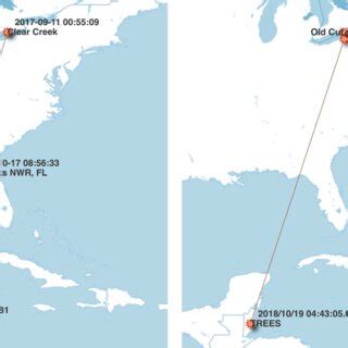 Maps depicting individual bird routes during fall migration for two ...