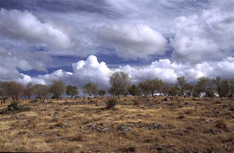 Sierra de Alcaraz, Albacete pictures. Photography gallery of Castilla ...