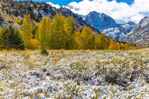 June Lake Loop Fall Colors | Mono County, California | Steve Shames Photo Gallery