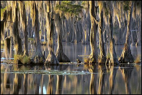 Banks Lake | Went to visit my daughter in Lakeland GA. This … | Flickr