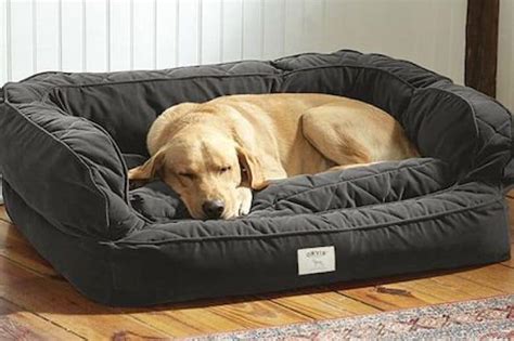 5 Best Large Dog Beds for Big Breeds [Top Recommendations & Guide]