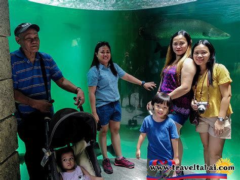 Cebu Ocean Park: The Biggest Oceanarium in the Country