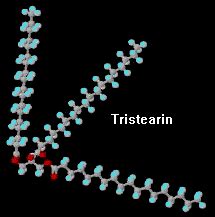 Triglyceride structure What is chemical formula triglyceride - Biology ...