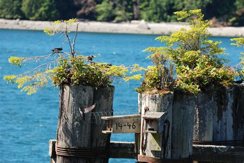 Tackling Johnstone Strait Part Two - Pacific Yachting