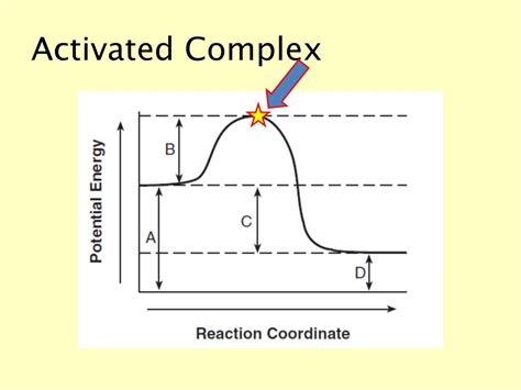 PPT - Rates of Reaction & Equilibrium PowerPoint Presentation, free ...