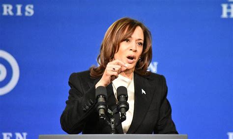 'Border czar' Harris says private companies have spent $4.2 BILLION ...