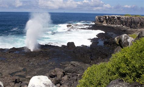 Espanola Island Tour - Galapagos Islands, Ecuador | Anywhere